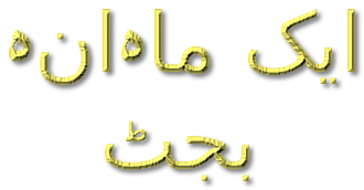 ایک ماہانہ بجٹ