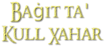 baġit ta' kull xahar