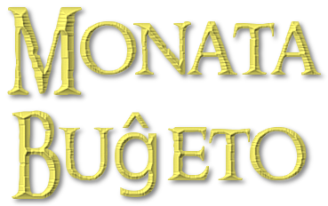moneta_bugeto