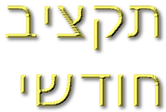 תקציב חודשי